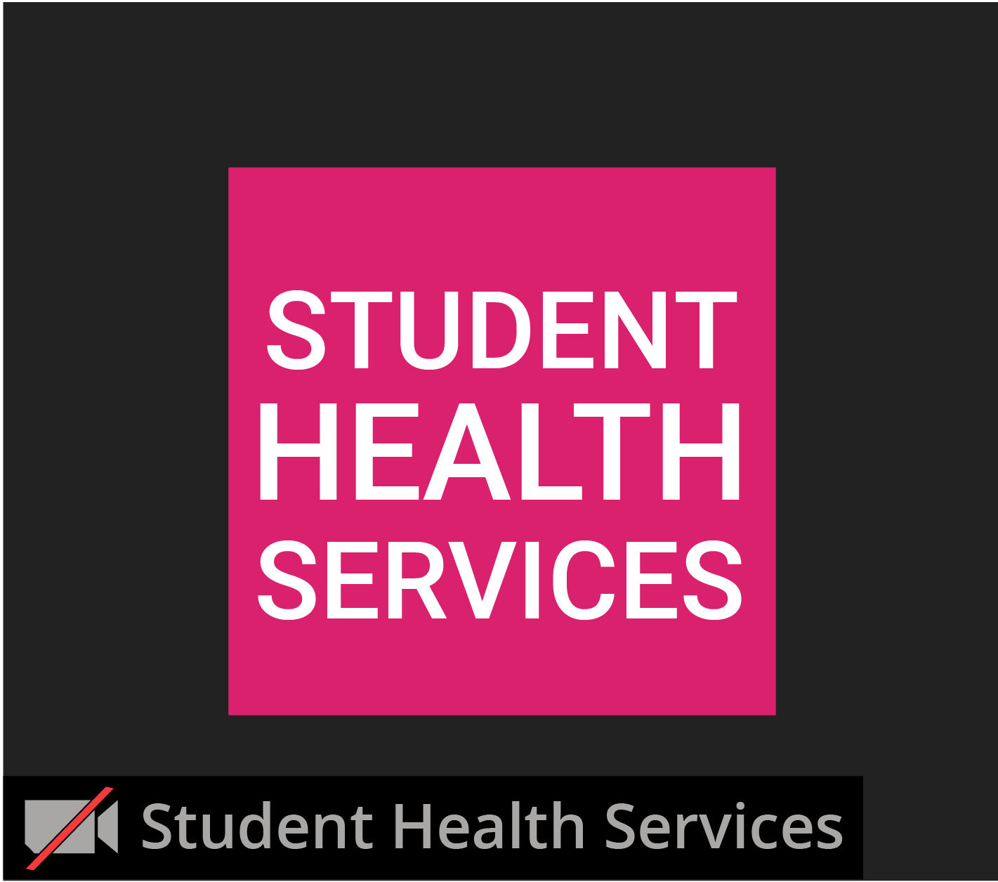 landing-pg-zoom_student-health-services-window.png