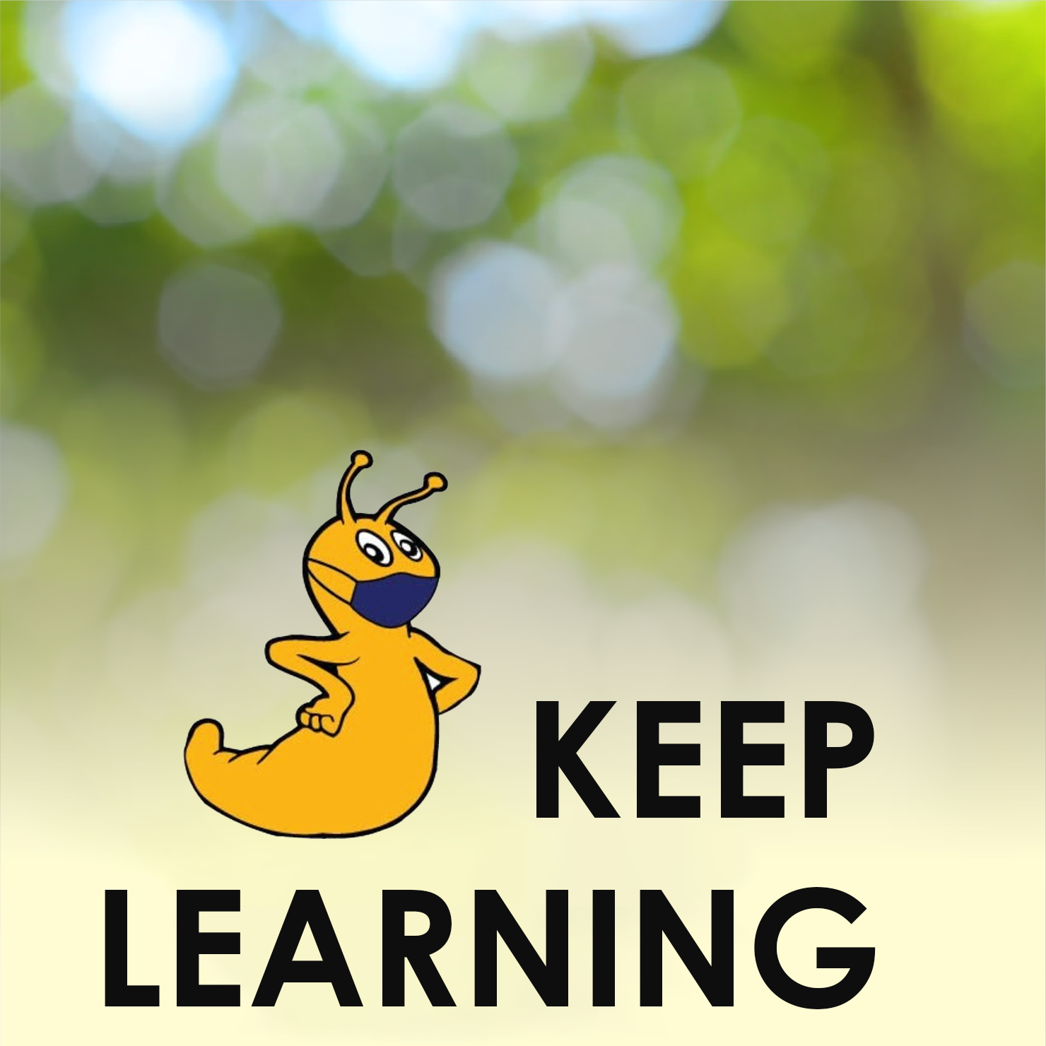 Keep Learning Website