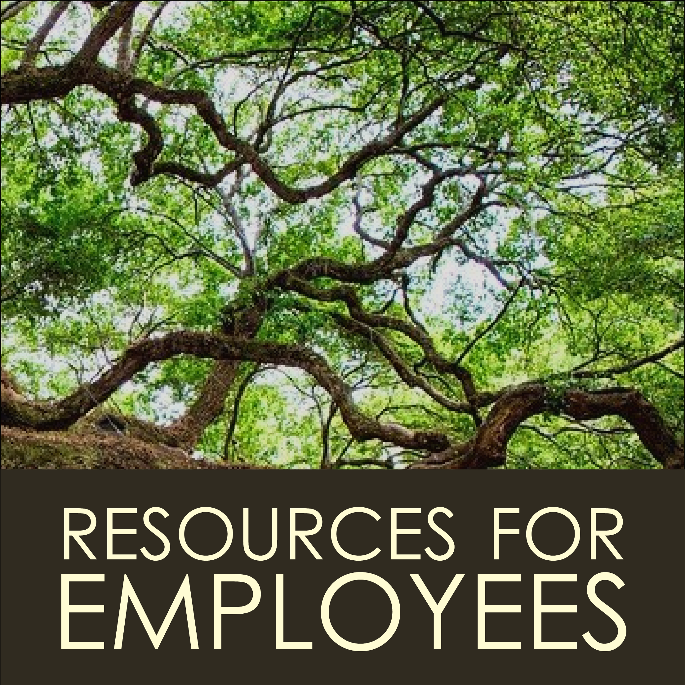 employee-resources---ecosystem-of-care-02.png