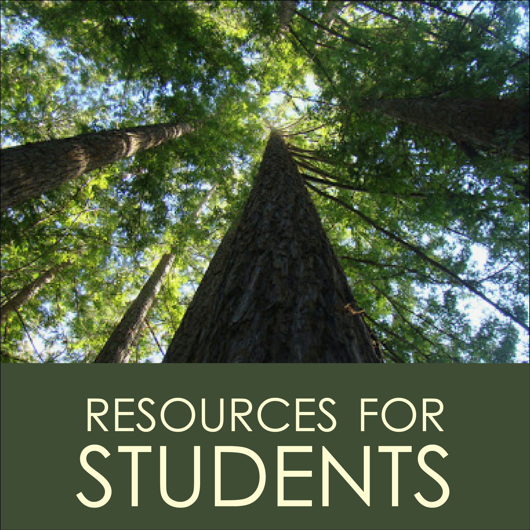 student-resources---ecosystem-of-care-01.png