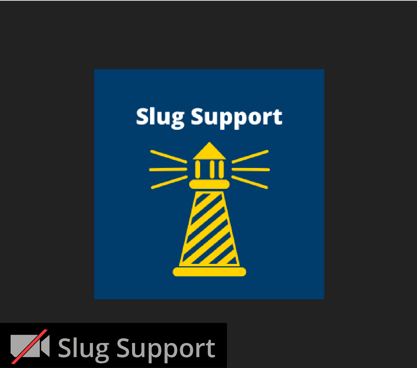 landing-pg-zoom_slug-support-window.png